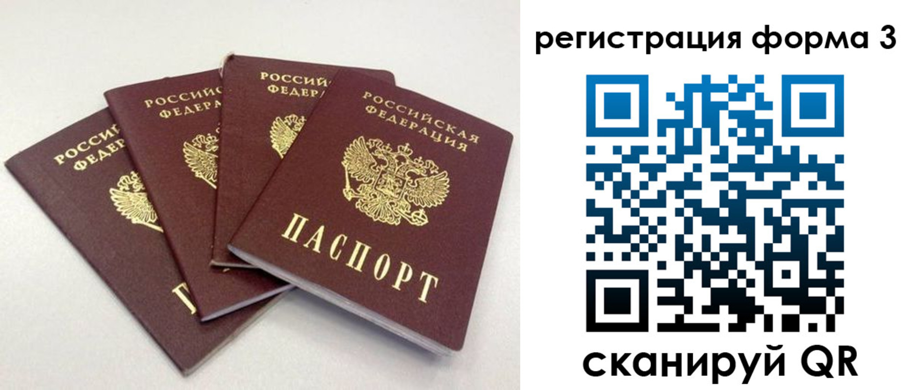 прописка 2025 в Людиново